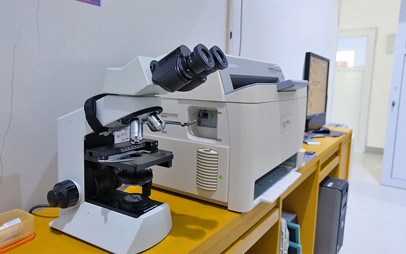 04 In-House Laboratory